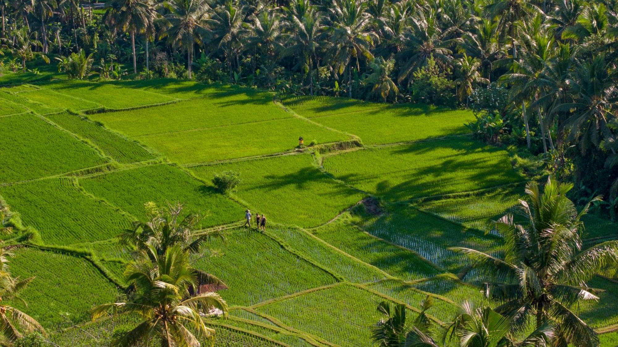 Lasamana Villas Ubud By Pramana Villas Extérieur photo