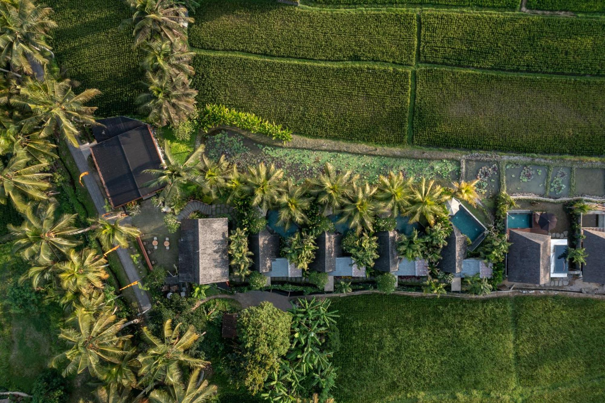 Lasamana Villas Ubud By Pramana Villas Extérieur photo